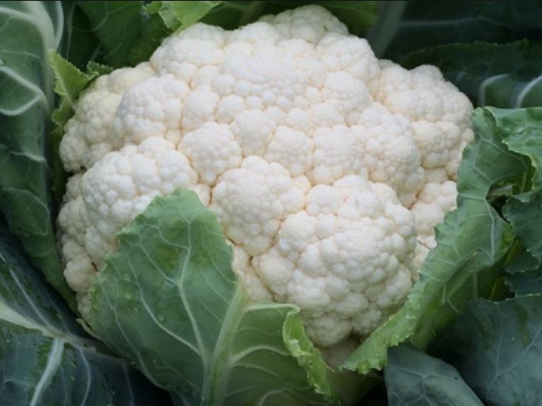 Cauliflower