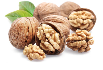 Walnut