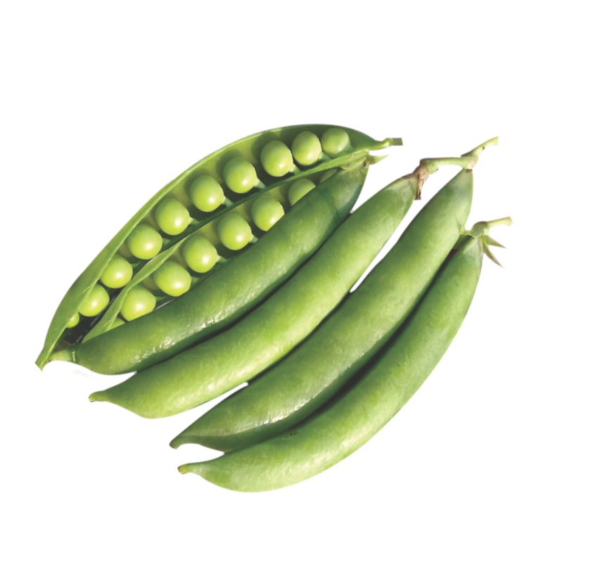 Green Pea