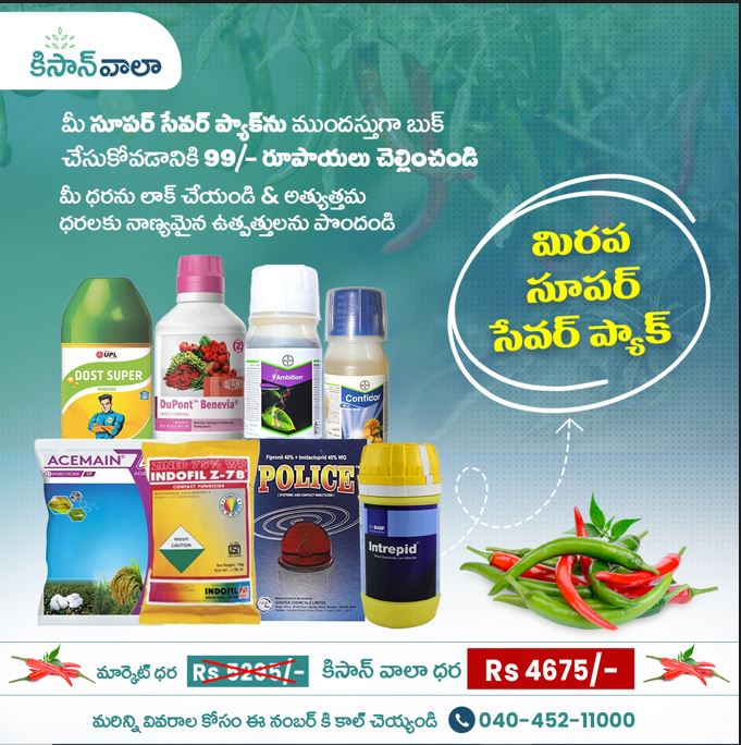 Kisanwala-Chilli Super Saver Pack – 2