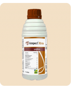 AMPECT XTRA