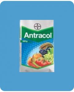 Antracol