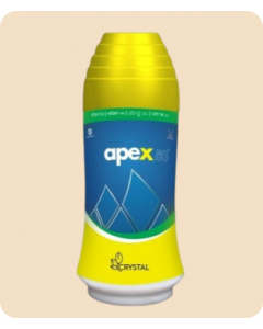 Apex