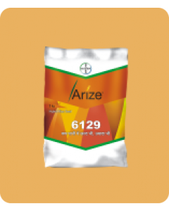 Arize 6129