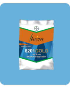 Arize 6201 Gold