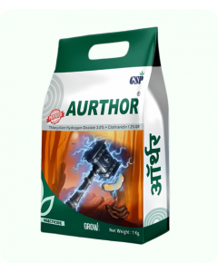 Aurthor