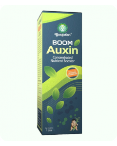 Boom Auxin