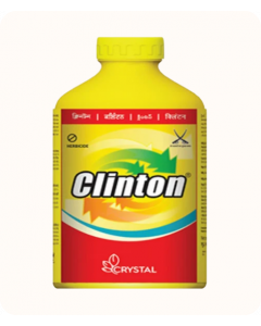 CLINTON