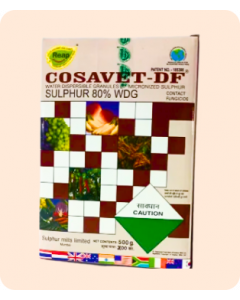 Cosavet