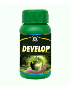 Develop