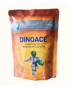 DINOACE