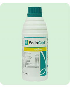 FOLIO GOLD