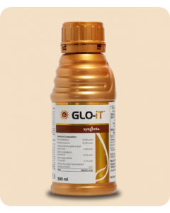 GLO-iT