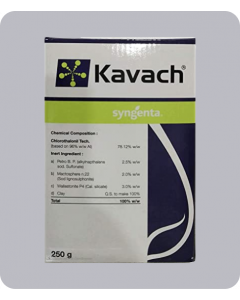 Kavach