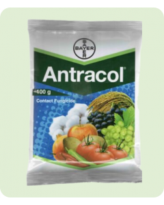 Antracol