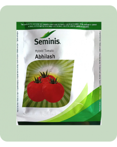 ABHILASH TOMATO