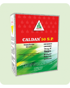 Caldan SP