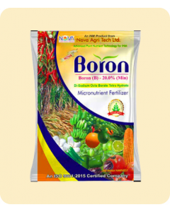 NOVA BORON 20%