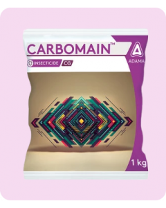 CARBOMAIN