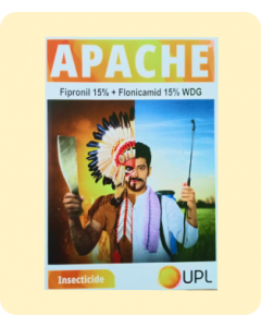 Apache