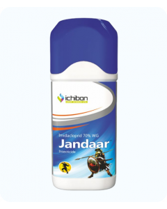 Jaandar