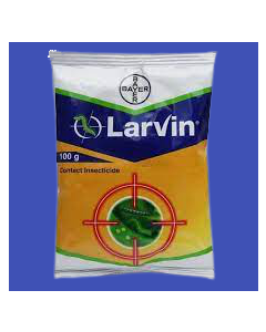 Larvin