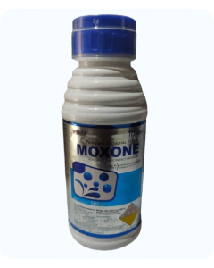 MOXONE