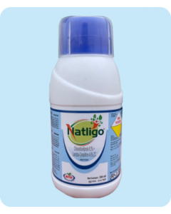 NATLIGO