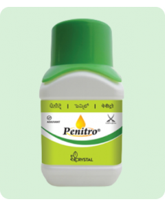 Penitro