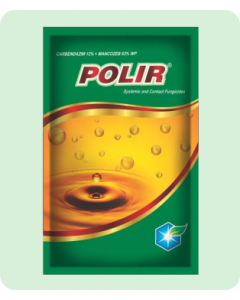 POLIR