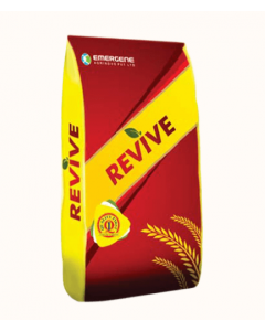 Revive