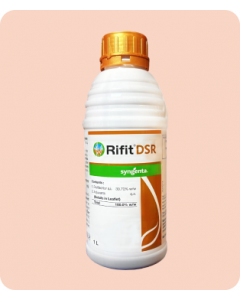 RIFIT DSR