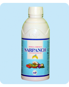 Sarpanch