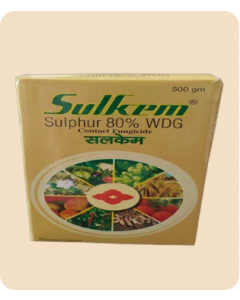 Sulkem