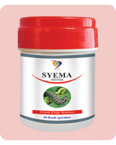 SYEMA