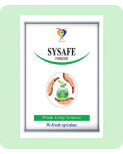 SYSAFE