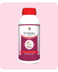 SYTHORA