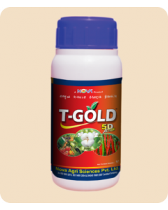 T-GOLD 5 D