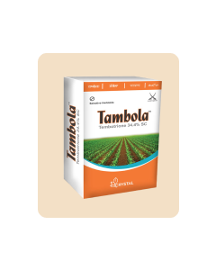 Tambola