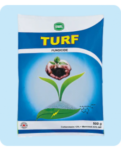 Turf