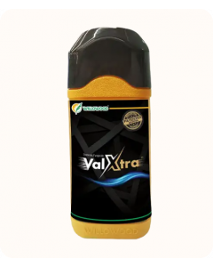 ValXtra