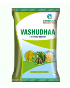 VASHUDHAA