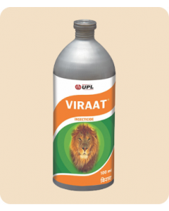 Viraat