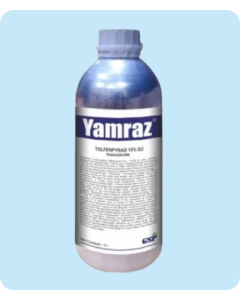 Yamraz