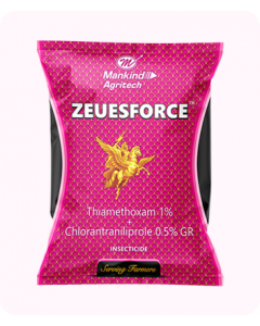 zeuesforce