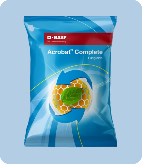 BASF-Acrobat-Crop Protection,Fungicide