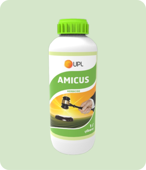 UPL-Amicus-Crop Protection,Herbicide