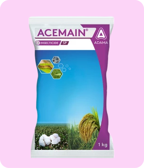 Adama-Acemain-Crop Protection,Insecticide