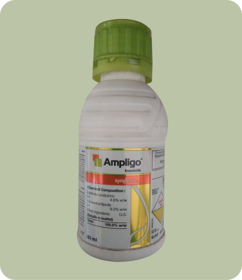 Syngenta-AMPLIGO-Crop Protection,Insecticide