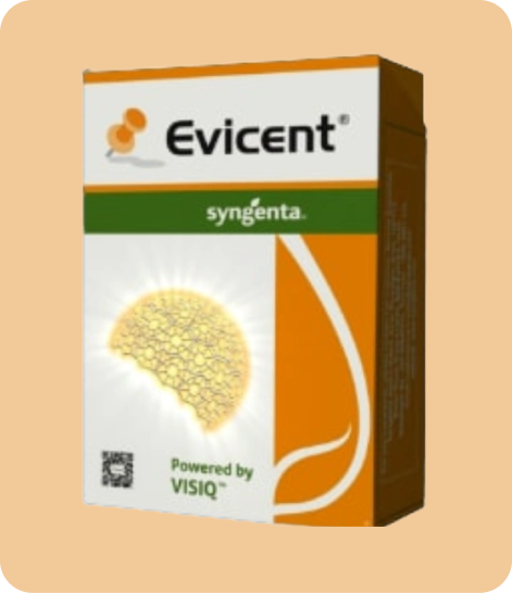 Syngenta-Syngenta Evicent-Crop Protection,Insecticide